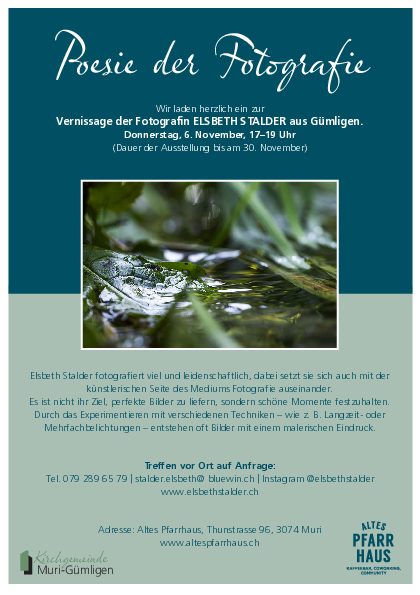 ausstellung_elsbethstalder_flyer.pdf ausstellung_elsbethstalder_flyer.pdf